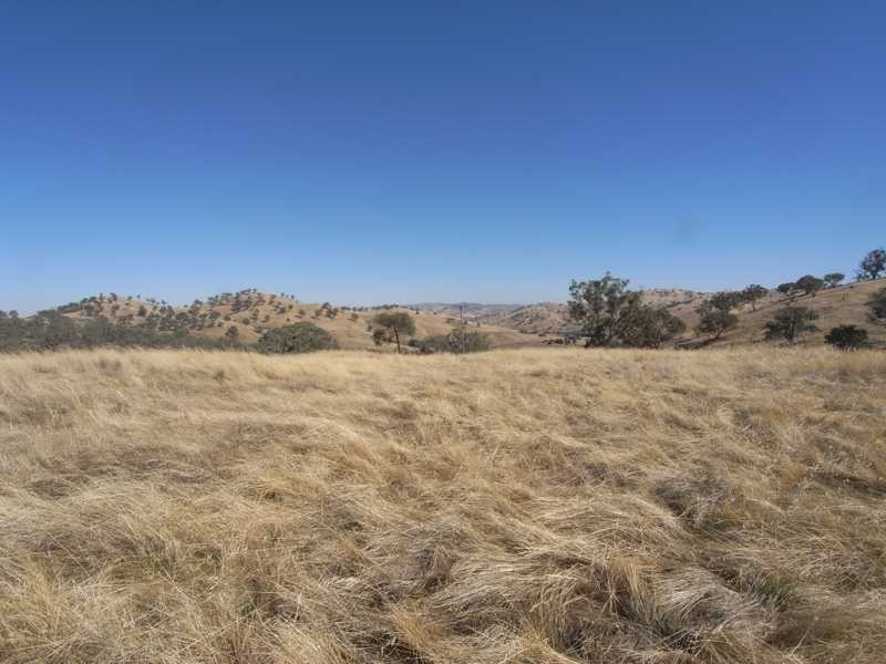 Lot/1 Gocup Road, Gundagai NSW 2722