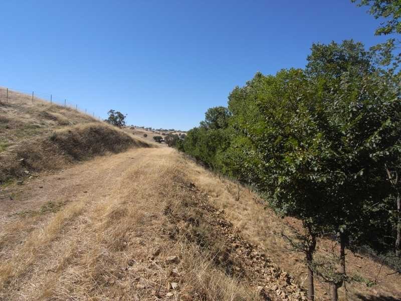 Lot/1 Gocup Road, Gundagai NSW 2722