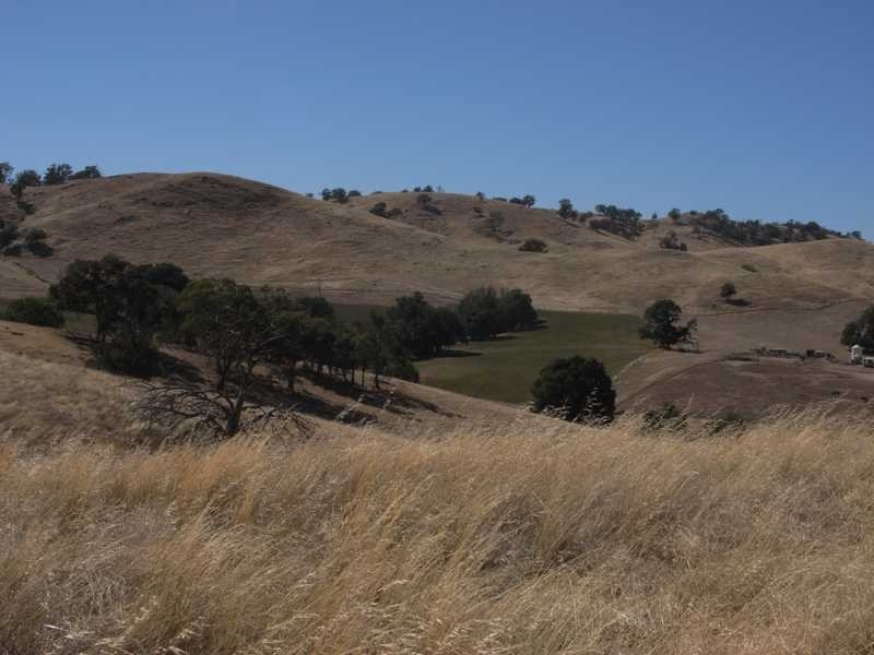Lot/1 Gocup Road, Gundagai NSW 2722