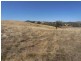 Lot/1 Gocup Road, Gundagai NSW 2722