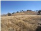 Lot/1 Gocup Road, Gundagai NSW 2722