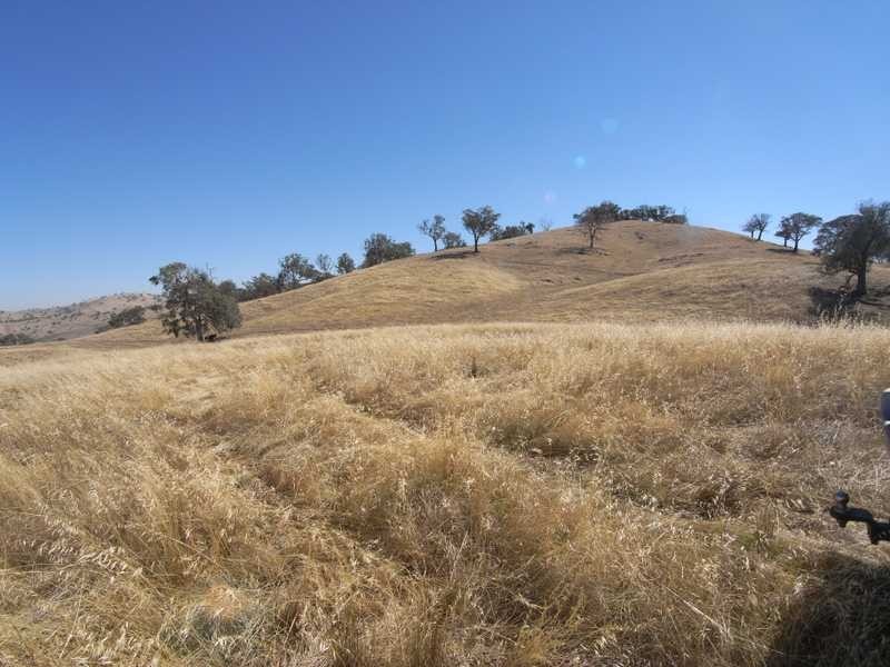 Lot/1 Gocup Road, Gundagai NSW 2722