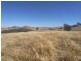 Lot/1 Gocup Road, Gundagai NSW 2722