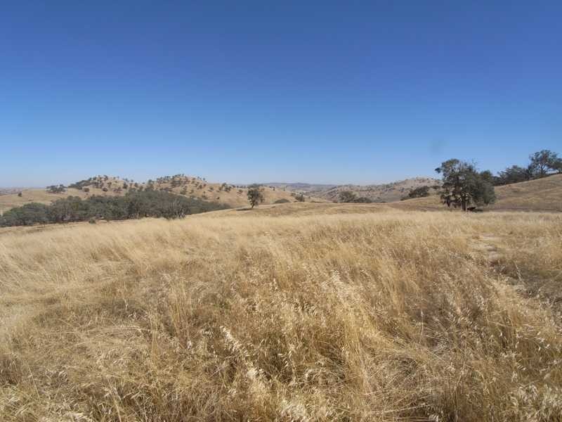 Lot/1 Gocup Road, Gundagai NSW 2722