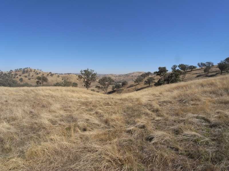 Lot/1 Gocup Road, Gundagai NSW 2722
