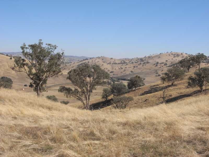 Lot/1 Gocup Road, Gundagai NSW 2722