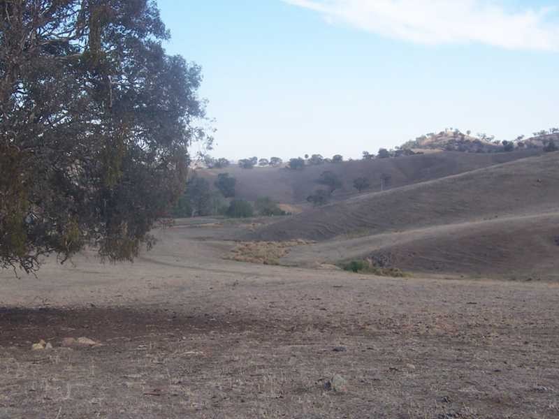 4 Gocup Road, Gundagai NSW 2722