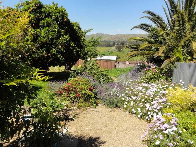 19 Virgil Street, Gundagai NSW 2722