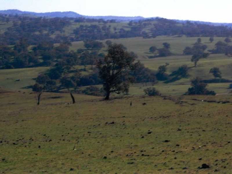 Lot/1 Hume Highway, Jugiong NSW 2726
