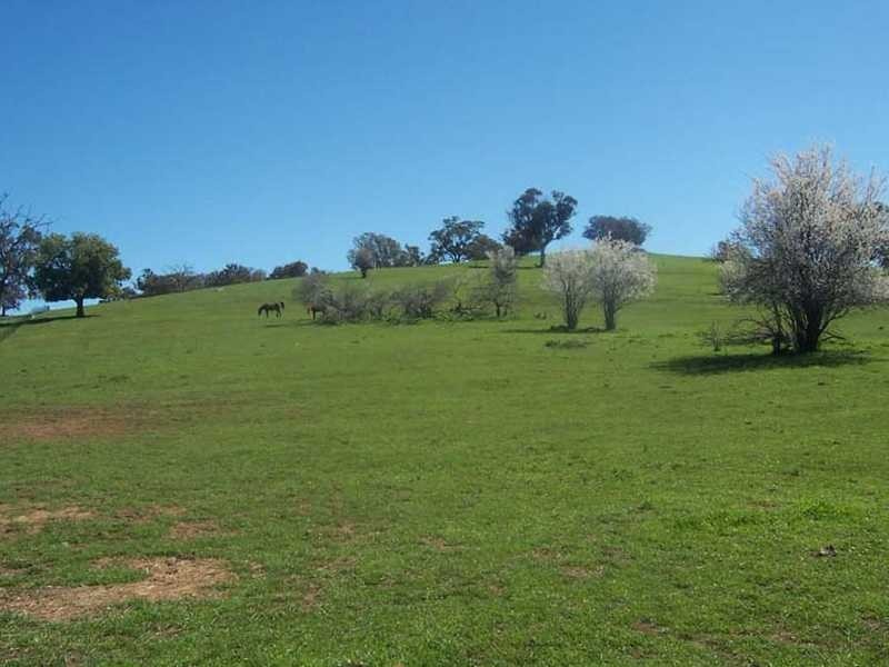 Lot/89 & 226 Adelong Road, Tumblong NSW 2729