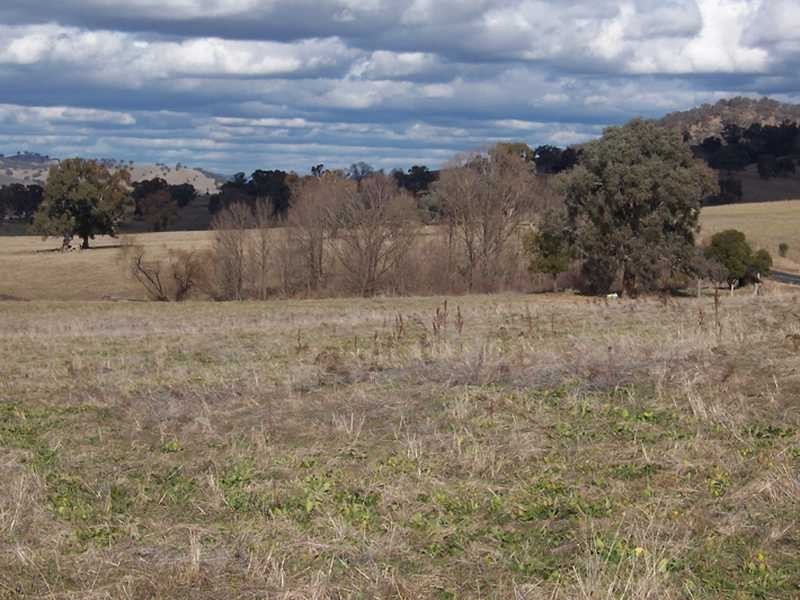 Lot/89 & 226 Adelong Road, Tumblong NSW 2729