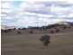Lot/89 & 226 Adelong Road, Tumblong NSW 2729