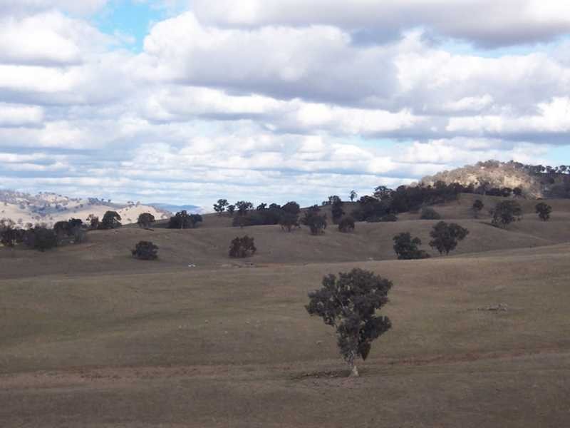 Lot/89 & 226 Adelong Road, Tumblong NSW 2729