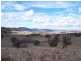 Lot/89 & 226 Adelong Road, Tumblong NSW 2729