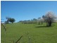Lot/89 & 226 Adelong Road, Tumblong NSW 2729