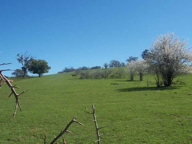 Lot/89 & 226 Adelong Road, Tumblong NSW 2729
