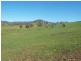 Lot/89 & 226 Adelong Road, Tumblong NSW 2729