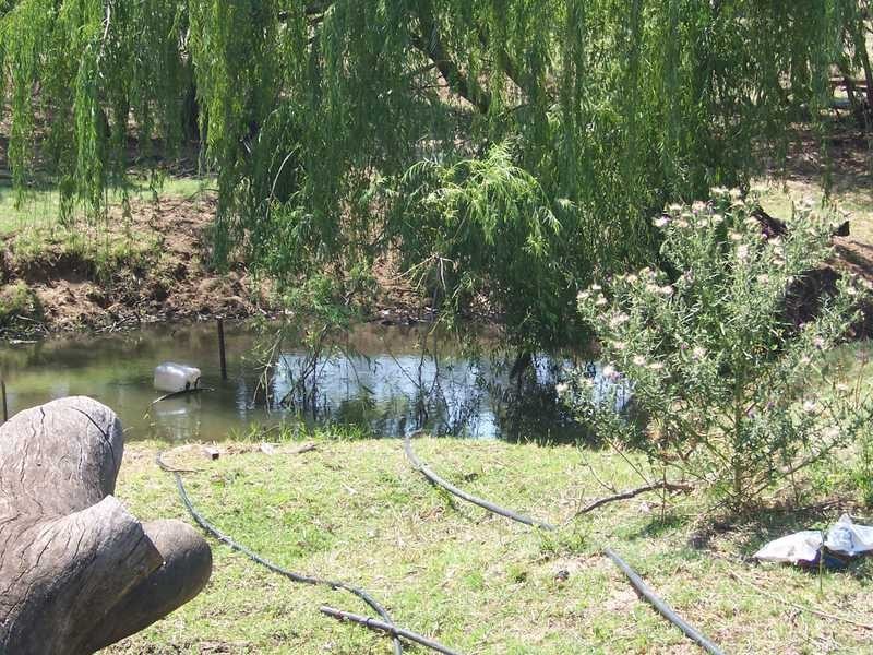 1930 Adelong Road, Tumblong NSW 2729