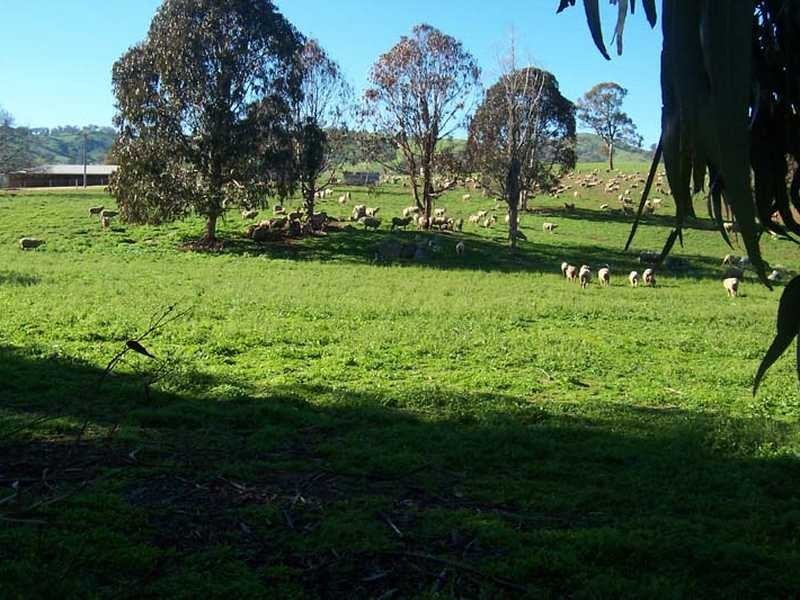 Balara Darbalara Road, Darbalara NSW 2722