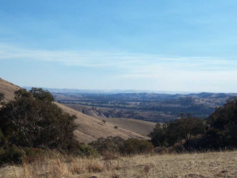 . Bidgee Jim, Gundagai NSW 2722