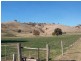 . Bidgee Jim, Gundagai NSW 2722