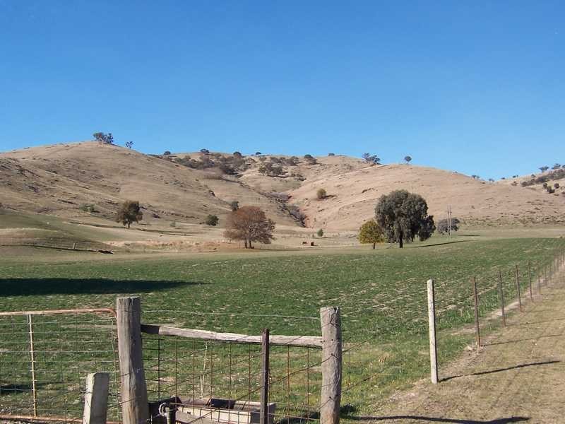 . Bidgee Jim, Gundagai NSW 2722