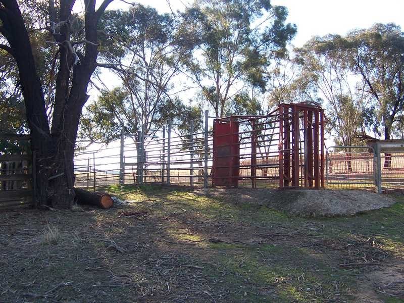. Bidgee Jim, Gundagai NSW 2722