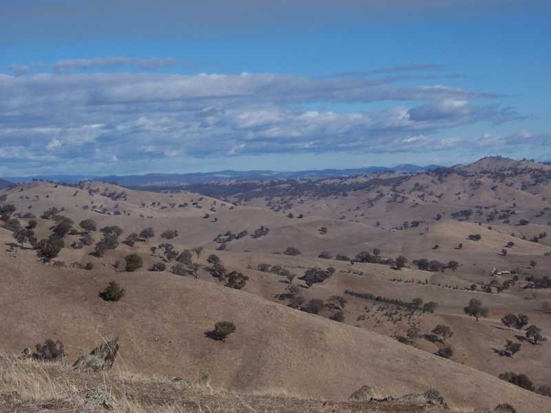 . Bidgee Jim, Gundagai NSW 2722
