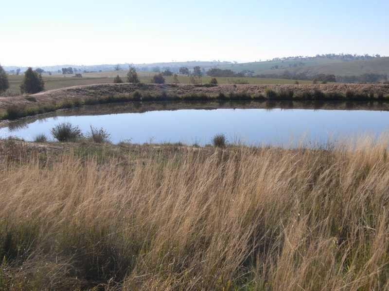 Lot/103 Old Burkleigh Estate, Gundagai NSW 2722