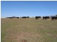 Lot/103 Old Burkleigh Estate, Gundagai NSW 2722