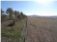 Lot/103 Old Burkleigh Estate, Gundagai NSW 2722