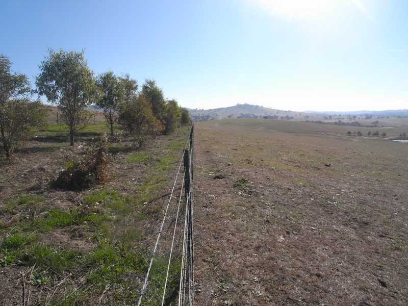 Lot/103 Old Burkleigh Estate, Gundagai NSW 2722