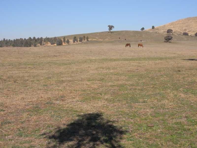 Lot/103 Old Burkleigh Estate, Gundagai NSW 2722