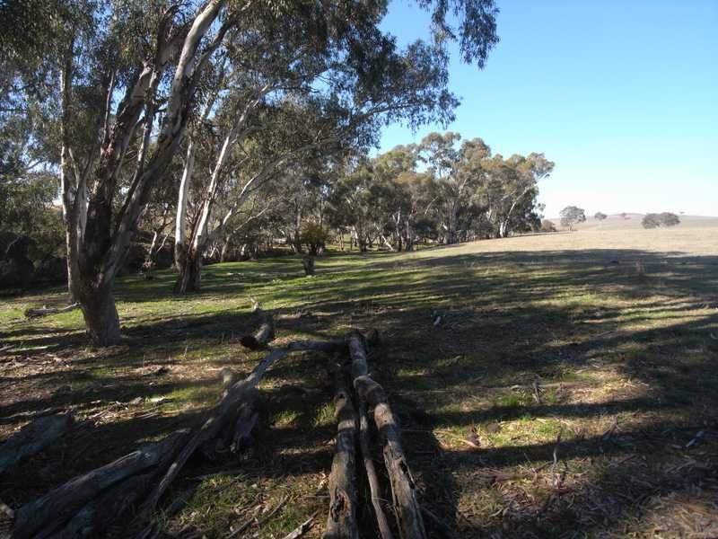 Lot/103 Old Burkleigh Estate, Gundagai NSW 2722