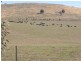 Lot/103 Old Burkleigh Estate, Gundagai NSW 2722