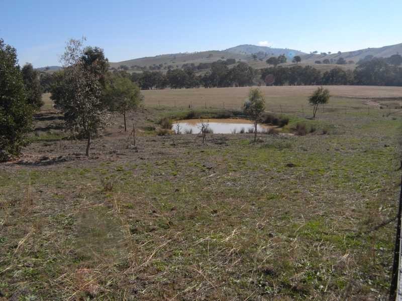 Lot/103 Old Burkleigh Estate, Gundagai NSW 2722