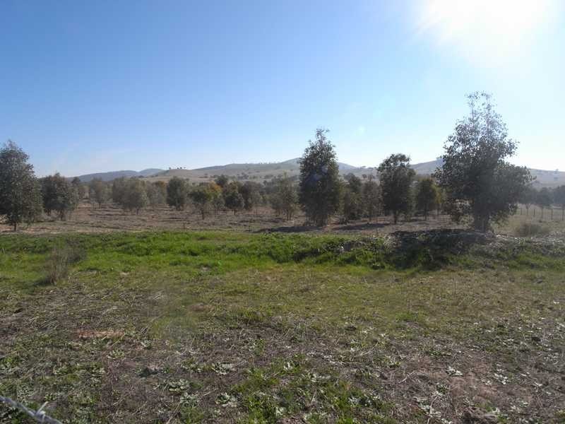 Lot/103 Old Burkleigh Estate, Gundagai NSW 2722