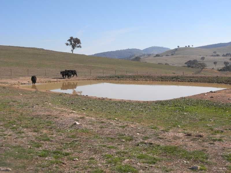 Lot/103 Old Burkleigh Estate, Gundagai NSW 2722