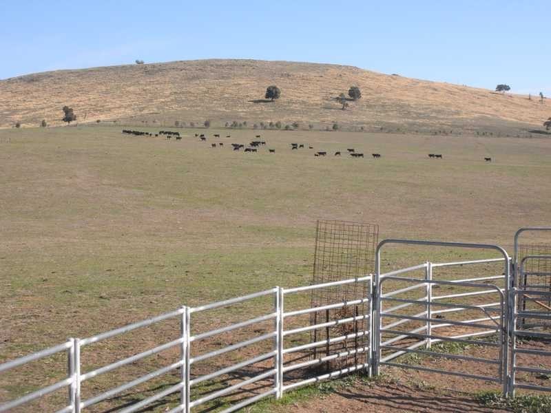 Lot/103 Old Burkleigh Estate, Gundagai NSW 2722