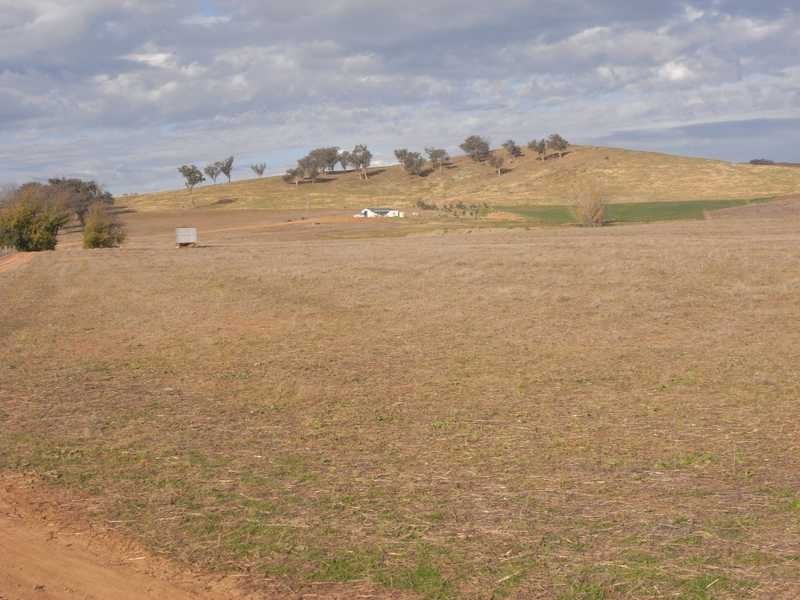 Greenbow Oak Hills Road, Gundagai NSW 2722