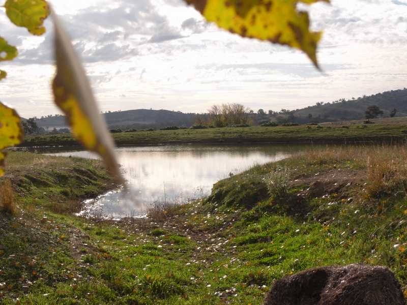 Greenbow Oak Hills Road, Gundagai NSW 2722