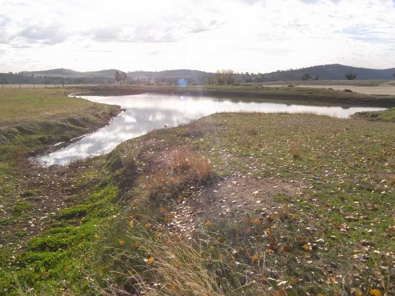 Greenbow Oak Hills Road, Gundagai NSW 2722