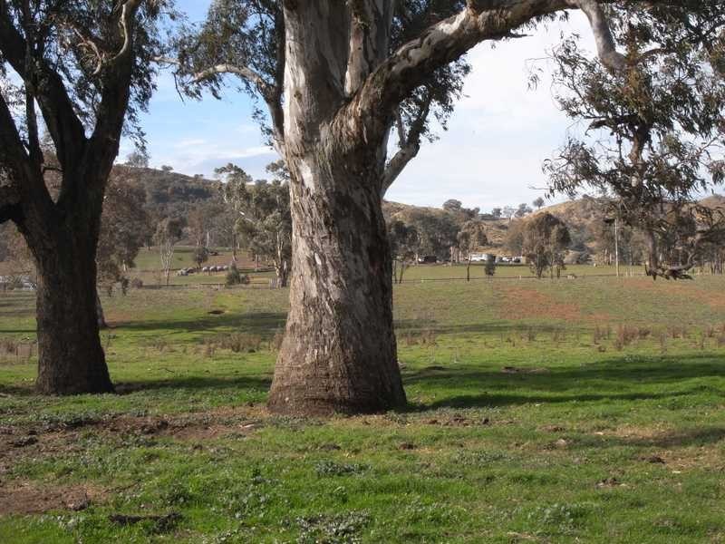 7 Meadow Bank Subdivision, Tumblong NSW 2729