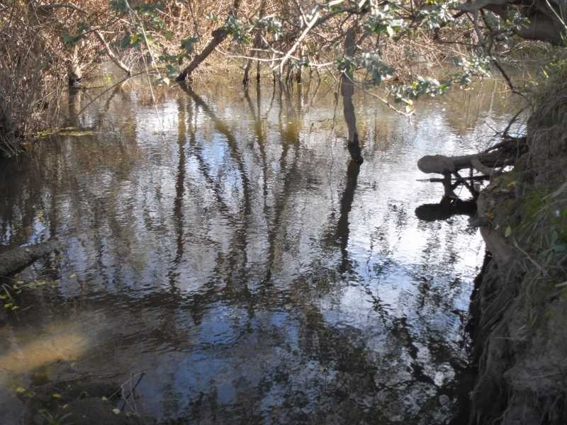 7 Meadow Bank Subdivision, Tumblong NSW 2729