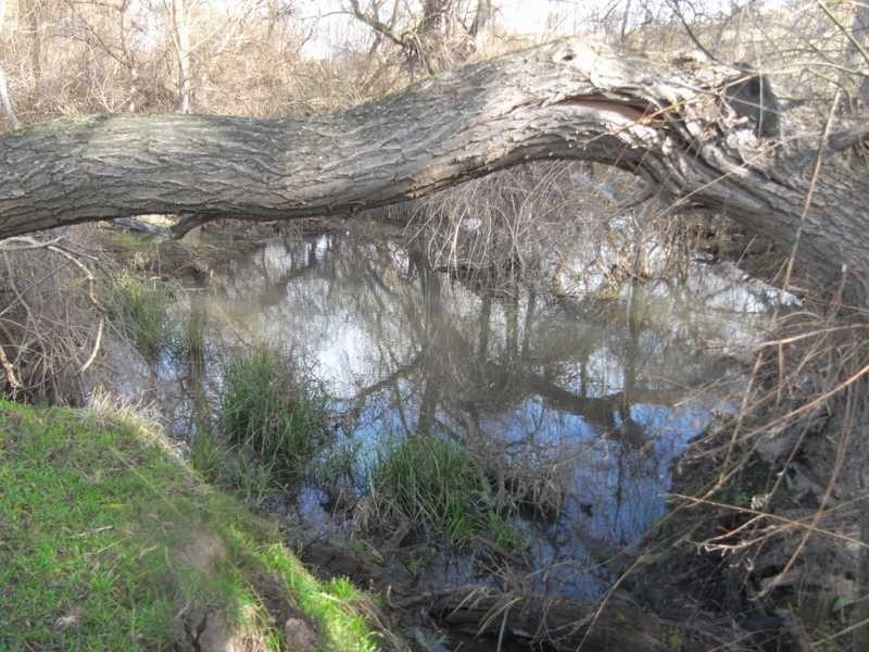 7 Meadow Bank Subdivision, Tumblong NSW 2729