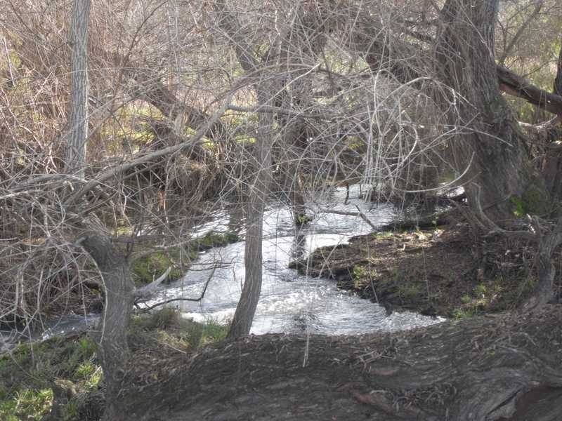 7 Meadow Bank Subdivision, Tumblong NSW 2729