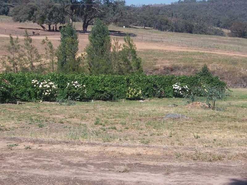 2004 Gocup Road, Gundagai NSW 2722
