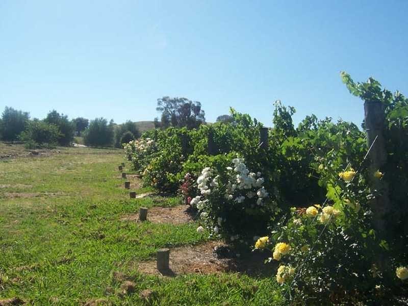 2004 Gocup Road, Gundagai NSW 2722