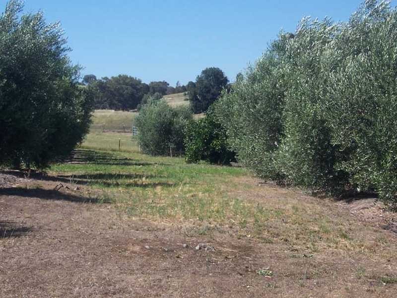 2004 Gocup Road, Gundagai NSW 2722