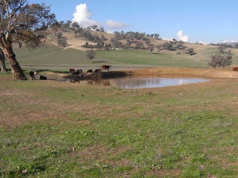 Outback Darbalara Road, Darbalara NSW 2722